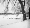 92_Graceville_ice002.jpg